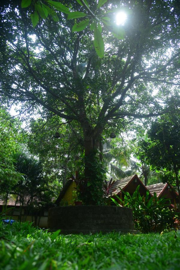 Savithri Inn Cottage Varkala Dış mekan fotoğraf