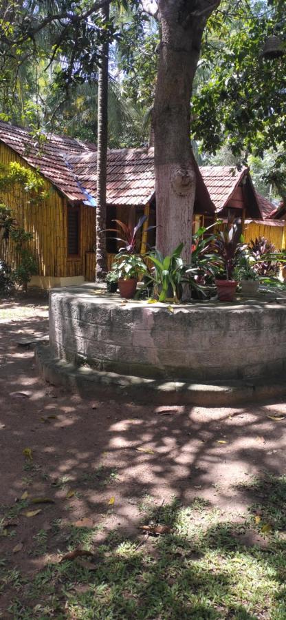 Savithri Inn Cottage Varkala Dış mekan fotoğraf